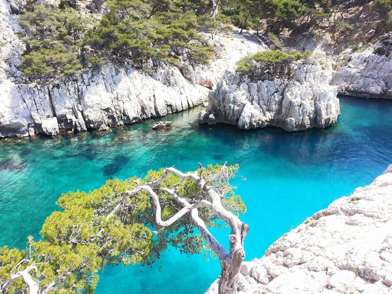 Villa Mathaia Cassis Roquefort-la-Bédoule Eksteriør billede